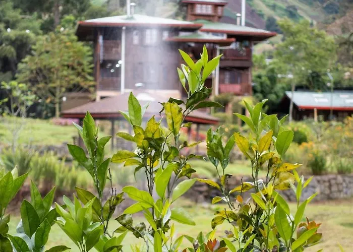 Los Quetzales Ecolodge & Spa