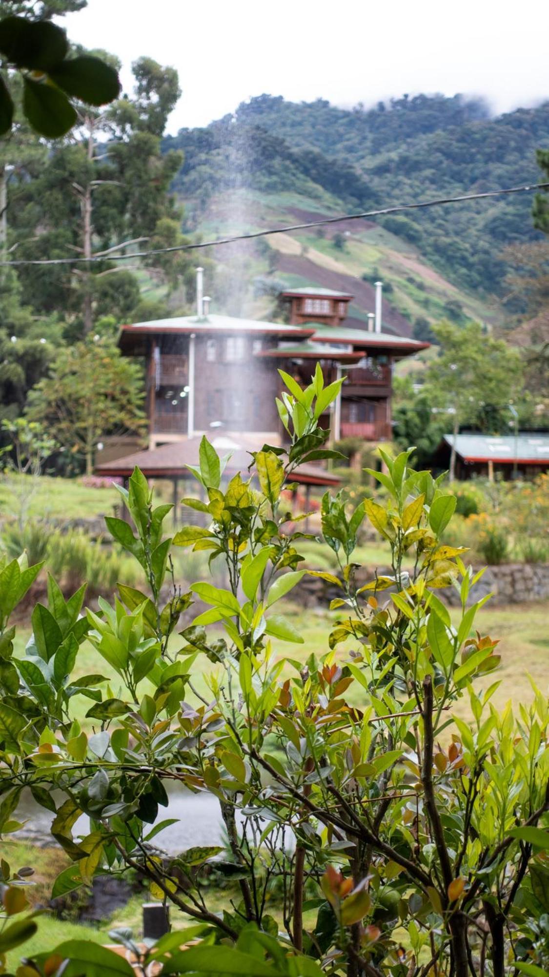 Hotel Quetzales & Cerro Punta